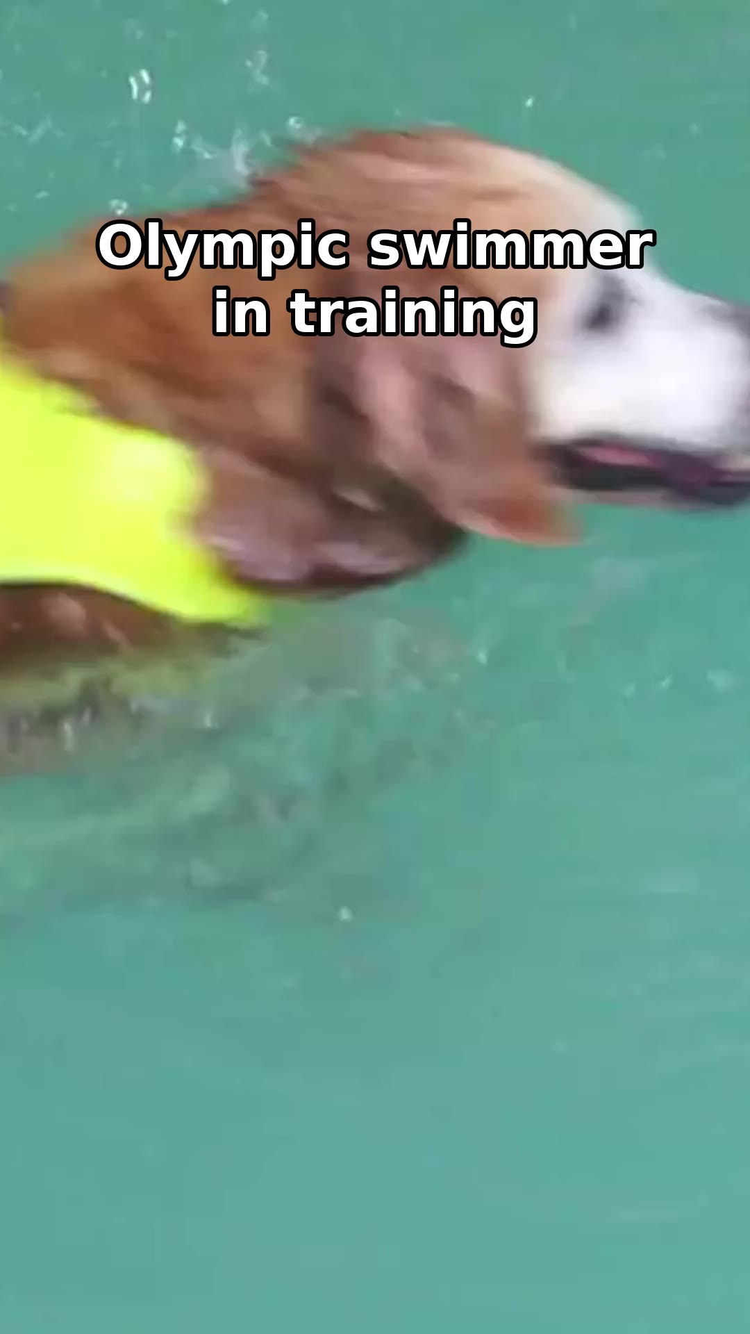 Video: Olympic swimmer in training